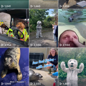 Cornish Seal Sanctuary on TikTok